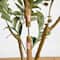4ft. Potted Artificial Olive Tree with Natural Trunk